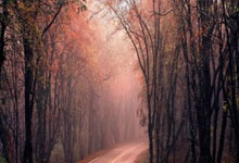 国家队齐心合力备战，追求胜利的简单介绍